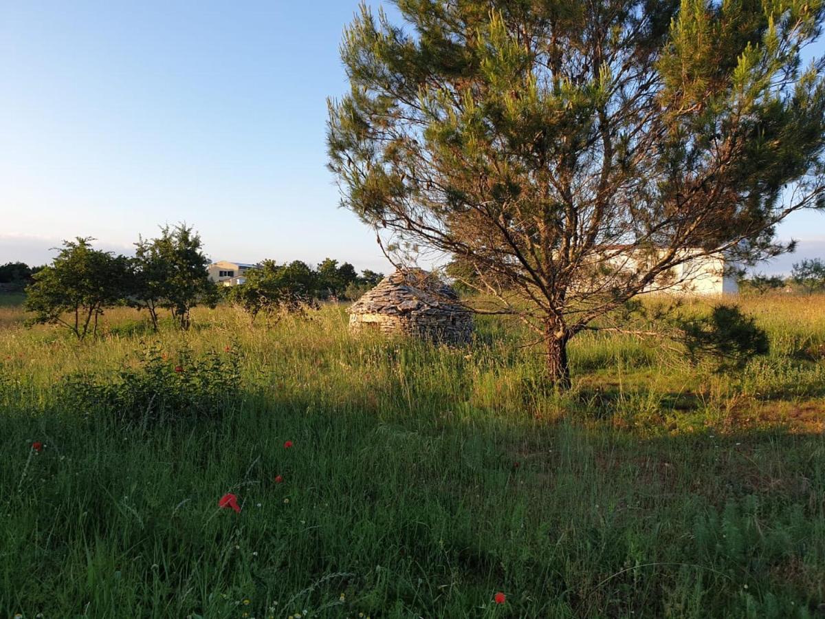 Villa Istra Divšići エクステリア 写真