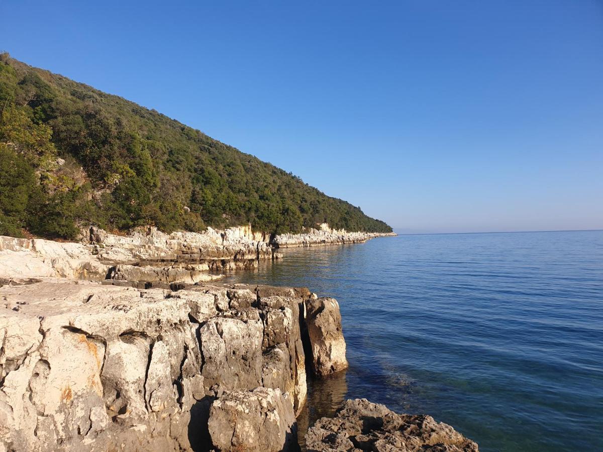 Villa Istra Divšići エクステリア 写真