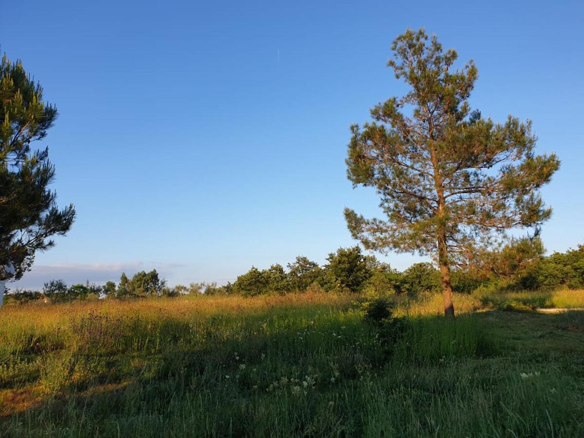 Villa Istra Divšići エクステリア 写真